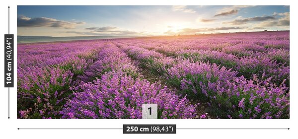 Carta da parati Lavender Meadow 104x70 cm
