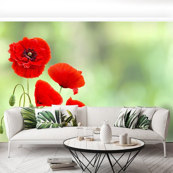 Carta da parati Poppies rossi 104x70 cm