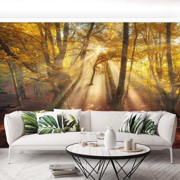 Carta da parati Foresta magica 104x70 cm