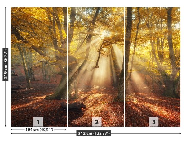 Carta da parati Foresta magica 104x70 cm