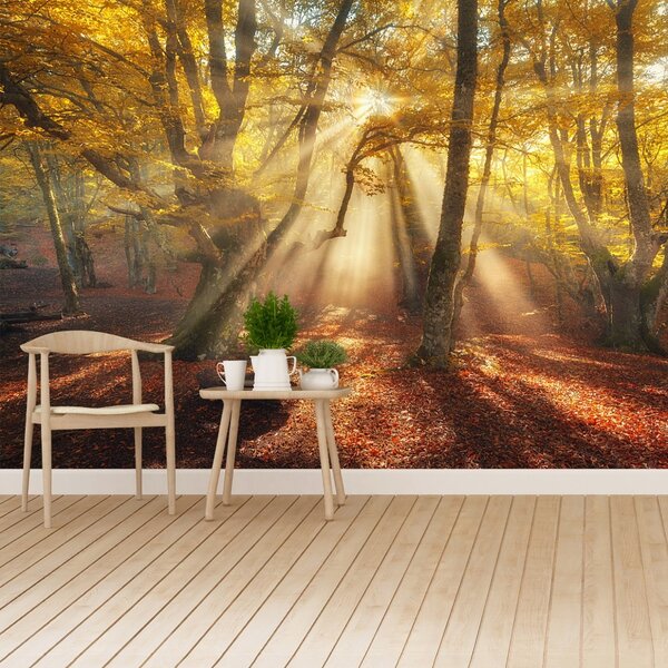 Carta da parati Foresta magica 104x70 cm