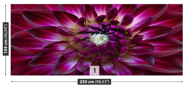 Carta da parati Aster viola 104x70 cm