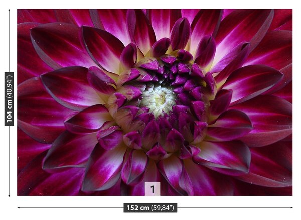 Carta da parati Aster viola 104x70 cm
