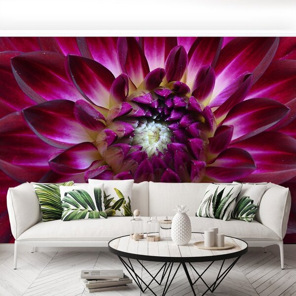 Carta da parati Aster viola 104x70 cm