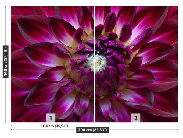 Carta da parati Aster viola 104x70 cm
