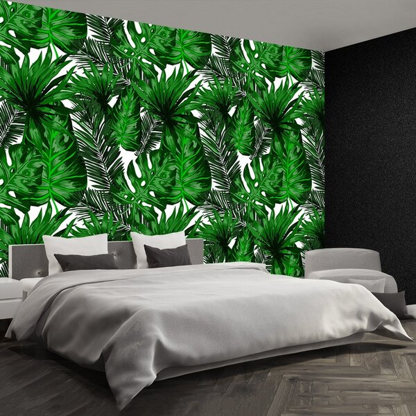 Carta da parati Foglie tropicali 104x70 cm