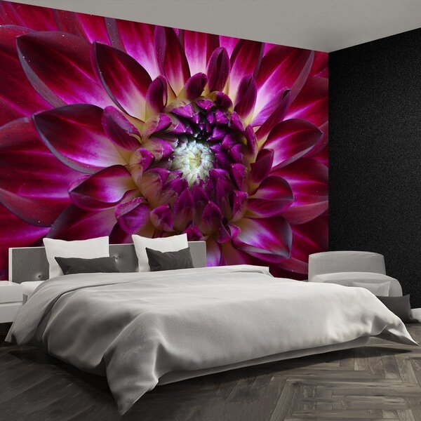 Carta da parati Aster viola 104x70 cm