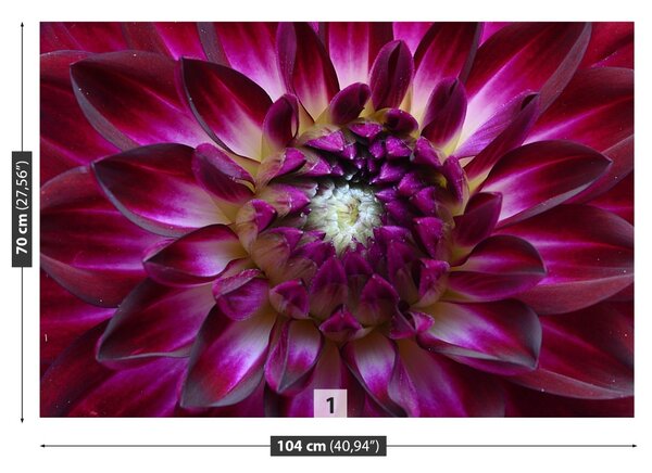 Carta da parati Aster viola 104x70 cm