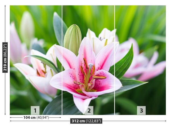 Carta da parati Lily verde 104x70 cm
