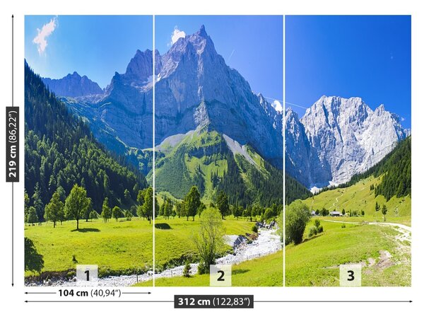 Carta da parati Panorama delle Alpi 104x70 cm