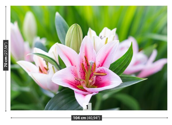 Carta da parati Lily verde 104x70 cm