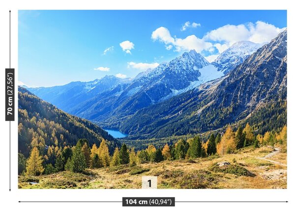 Carta da parati Alpi della montagna 104x70 cm