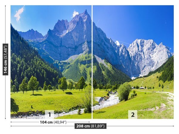 Carta da parati Panorama delle Alpi 104x70 cm