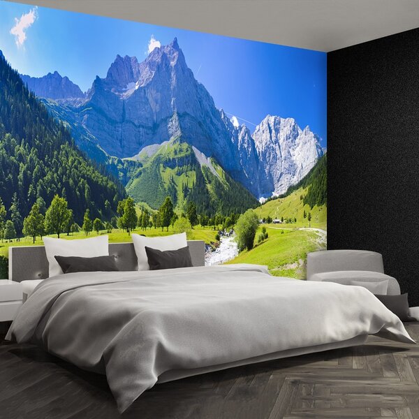 Carta da parati Panorama delle Alpi 104x70 cm