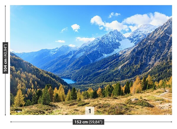 Carta da parati Alpi della montagna 104x70 cm