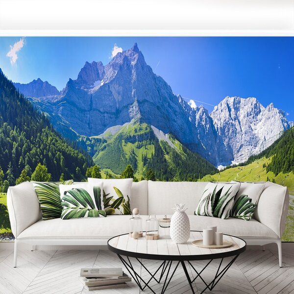 Carta da parati Panorama delle Alpi 104x70 cm