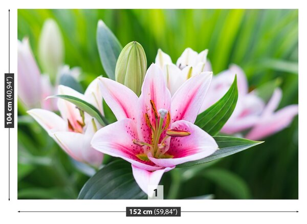 Carta da parati Lily verde 104x70 cm