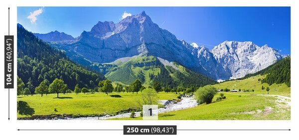Carta da parati Panorama delle Alpi 104x70 cm