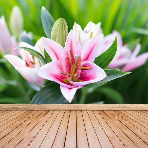 Carta da parati Lily verde 104x70 cm