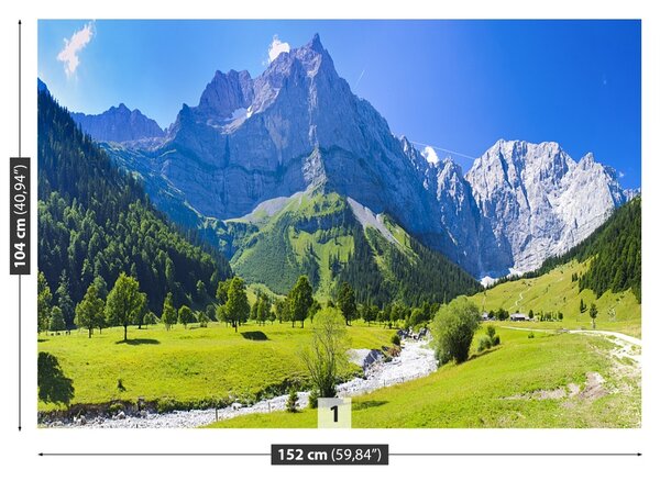 Carta da parati Panorama delle Alpi 104x70 cm