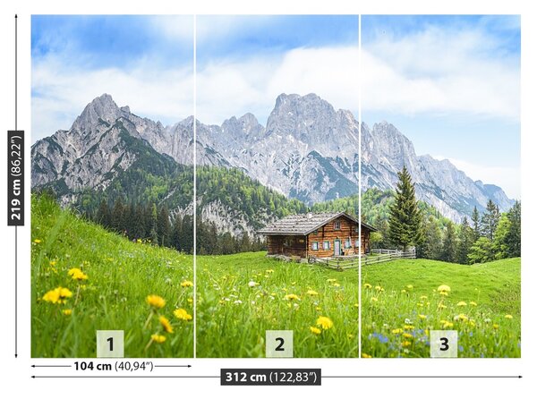 Carta da parati Salzburger Land 104x70 cm