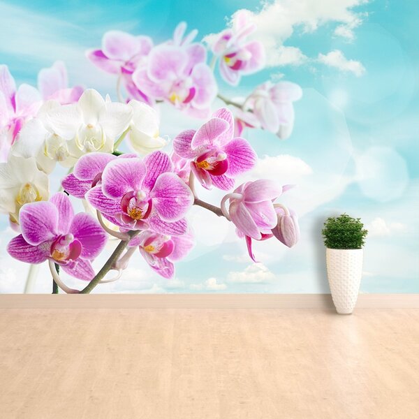 Carta da parati Orchidee blu 104x70 cm