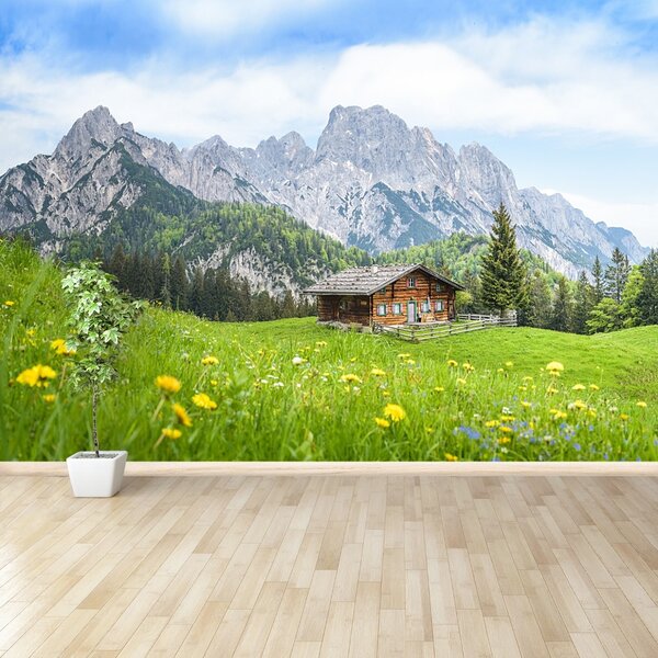 Carta da parati Salzburger Land 104x70 cm