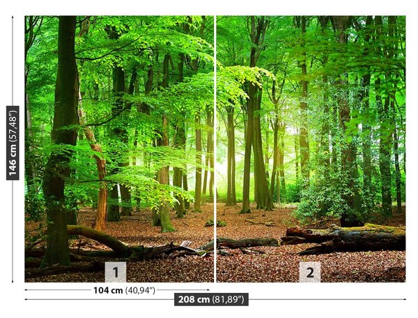 Carta da parati Foresta di primavera 104x70 cm