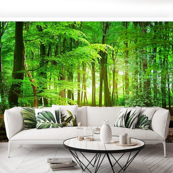 Carta da parati Foresta di primavera 104x70 cm