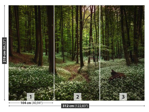 Carta da parati Foresta di primavera 104x70 cm
