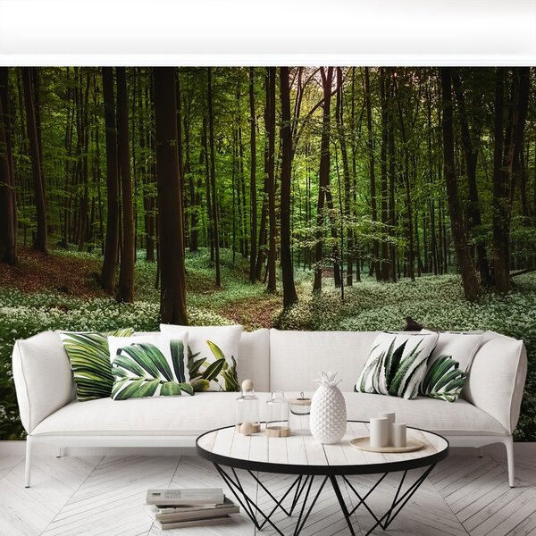 Carta da parati Foresta di primavera 104x70 cm