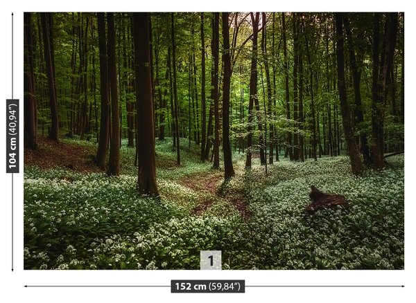 Carta da parati Foresta di primavera 104x70 cm
