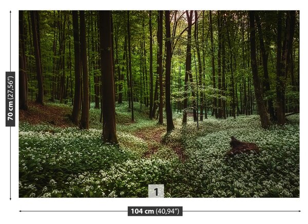 Carta da parati Foresta di primavera 104x70 cm