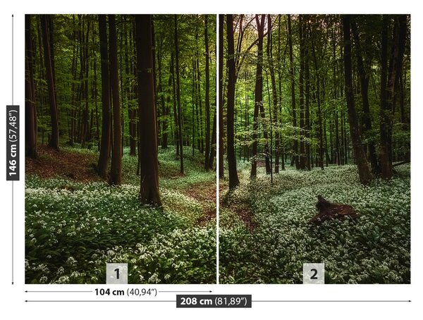 Carta da parati Foresta di primavera 104x70 cm