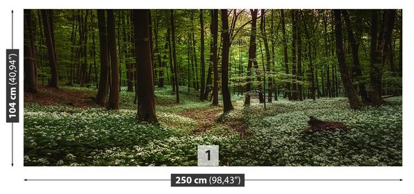 Carta da parati Foresta di primavera 104x70 cm