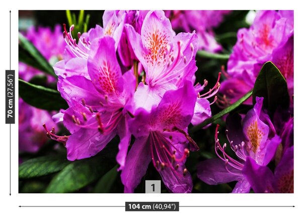 Carta da parati Fiori viola 104x70 cm