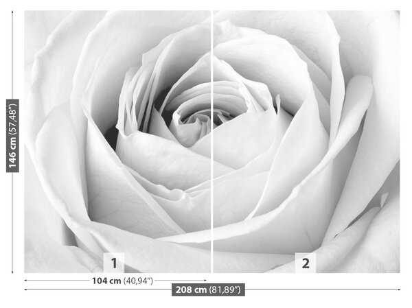 Carta da parati Rosa Bianca 104x70 cm