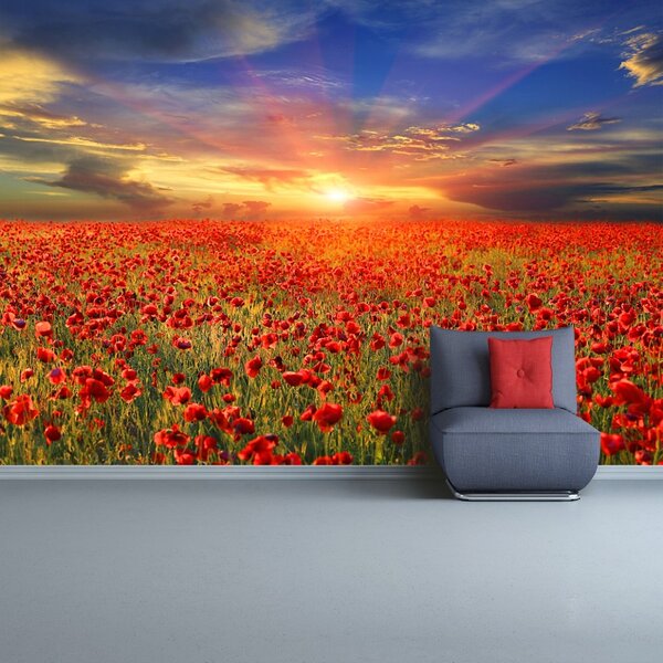 Carta da parati Maki Field 104x70 cm