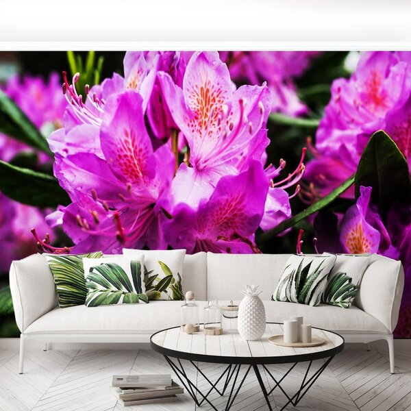 Carta da parati Fiori viola 104x70 cm