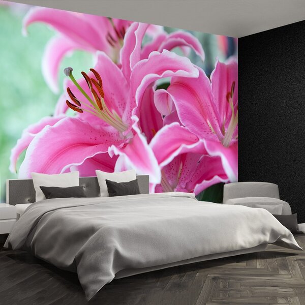 Carta da parati Lily rosa 104x70 cm