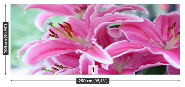 Carta da parati Lily rosa 104x70 cm