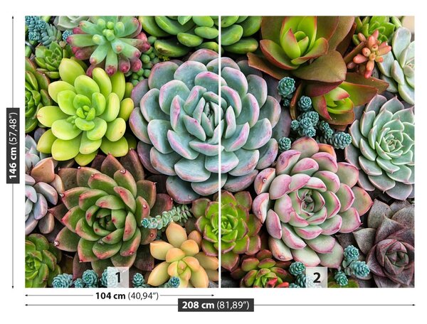 Carta da parati Giardino roccioso della pianta 104x70 cm