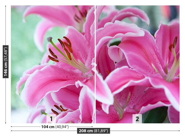 Carta da parati Lily rosa 104x70 cm