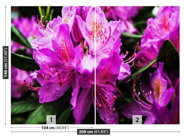 Carta da parati Fiori viola 104x70 cm