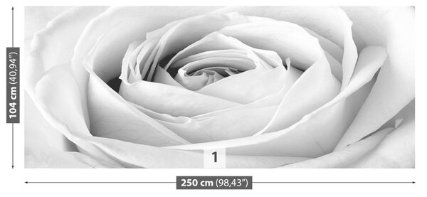 Carta da parati Rosa Bianca 104x70 cm