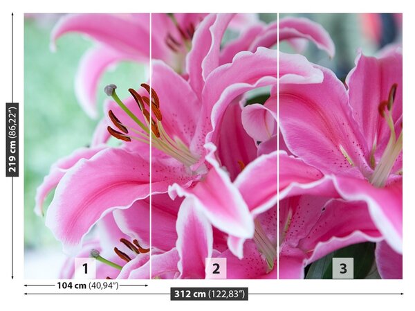 Carta da parati Lily rosa 104x70 cm