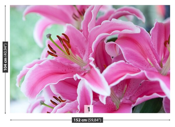 Carta da parati Lily rosa 104x70 cm