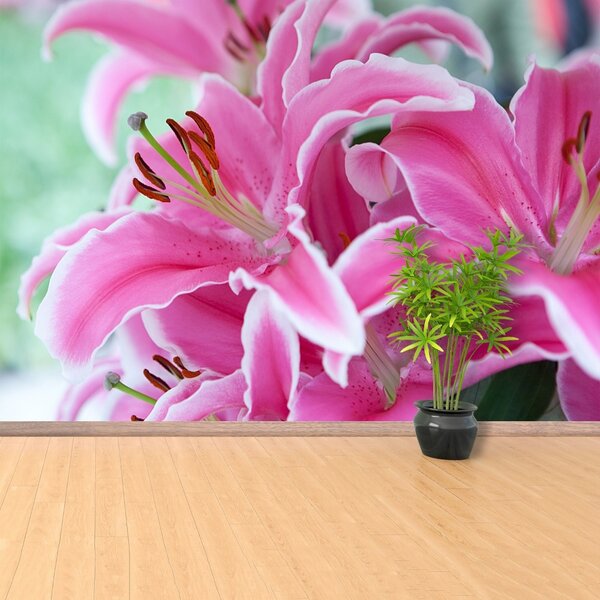 Carta da parati Lily rosa 104x70 cm
