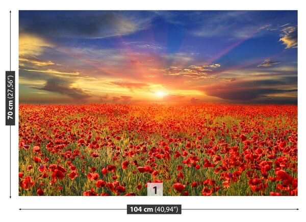 Carta da parati Maki Field 104x70 cm
