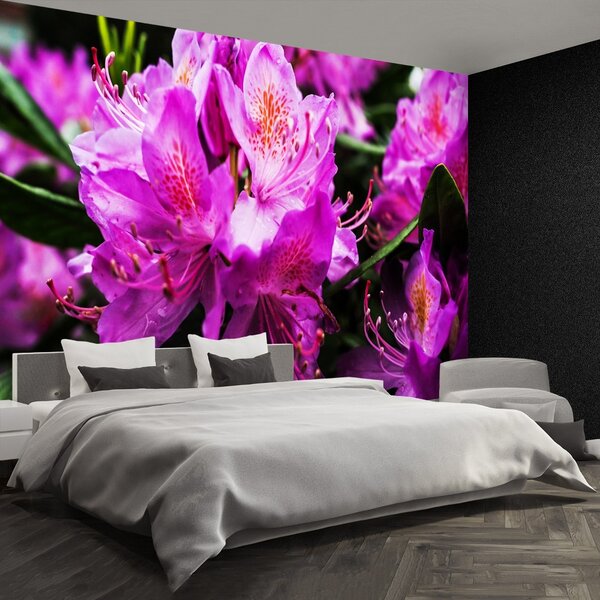 Carta da parati Fiori viola 104x70 cm